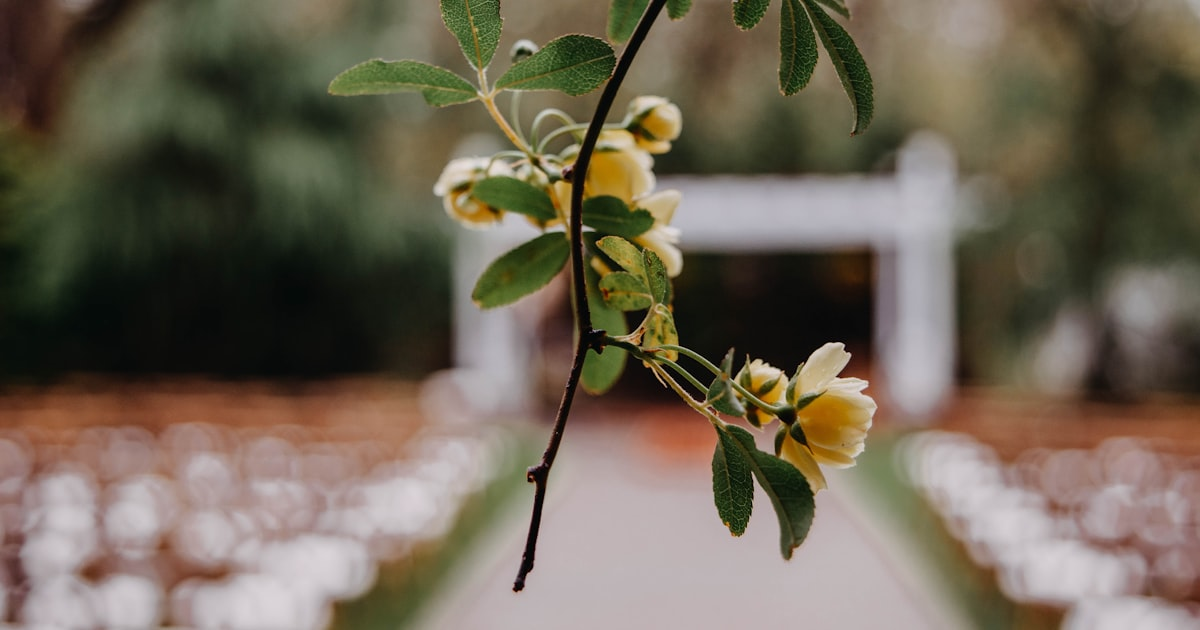 Choosing the Perfect Venue